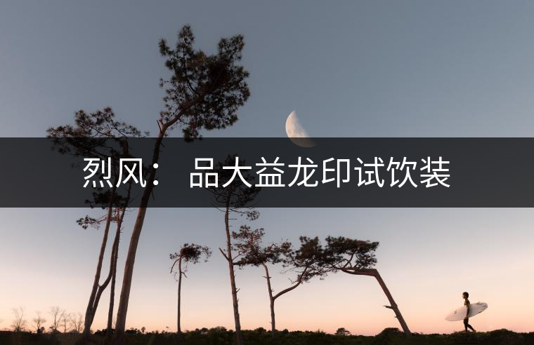 烈風(fēng): 品大益龍印試飲裝 烈風(fēng): 品大益龍印試飲裝