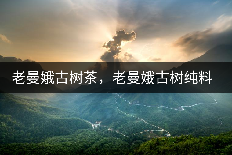 老曼娥古樹茶，老曼娥古樹純料生餅