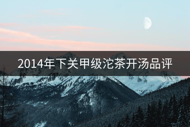 2014年下關甲級沱茶開湯品評 2014年下關甲級沱茶開湯品評
