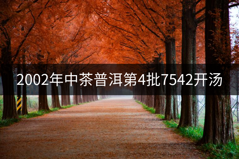 2002年中茶普洱第4批7542開湯 2002年中茶普洱第4批7542開湯