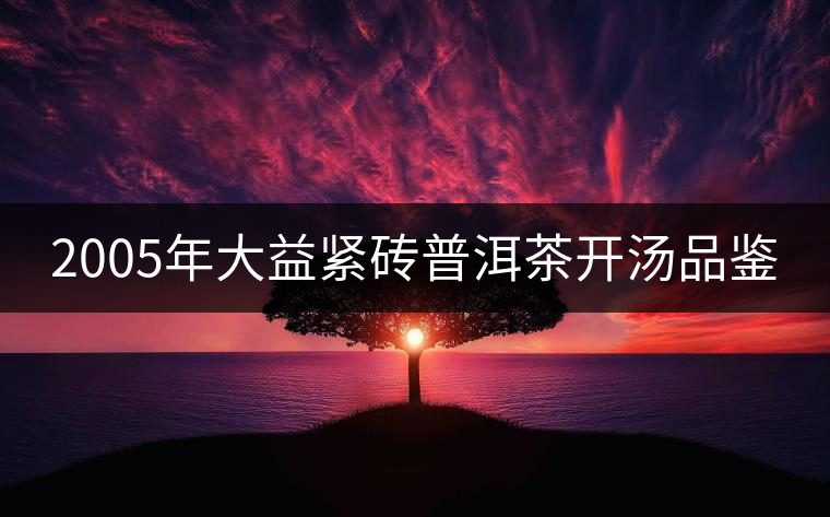 2005年大益緊磚普洱茶開(kāi)湯品鑒 2005年大益緊磚普洱茶開(kāi)湯品鑒