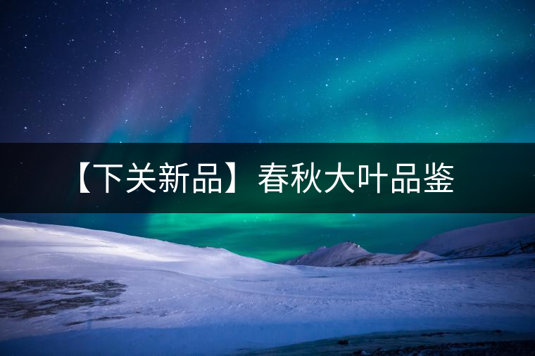 【下關新品】春秋大葉品鑒
