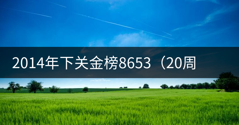 2014年下關(guān)金榜8653（20周年紀念餅）品評