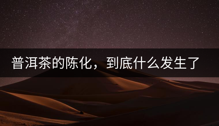 普洱茶的陳化，到底什么發(fā)生了哪些變化？