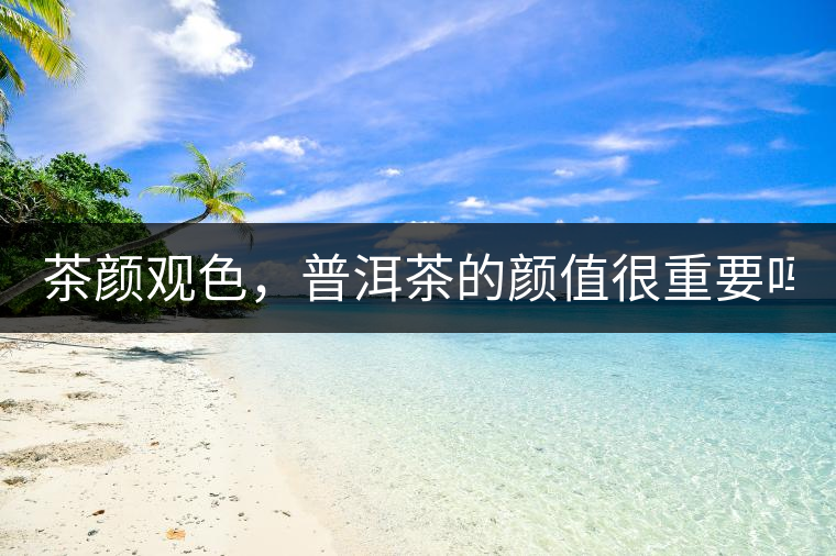 茶顏觀色，普洱茶的顏值很重要嗎？