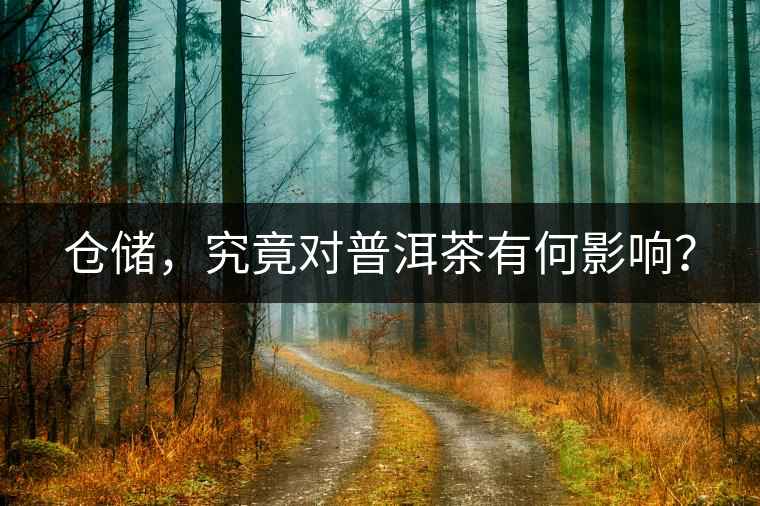 倉(cāng)儲(chǔ)，究竟對(duì)普洱茶有何影響？