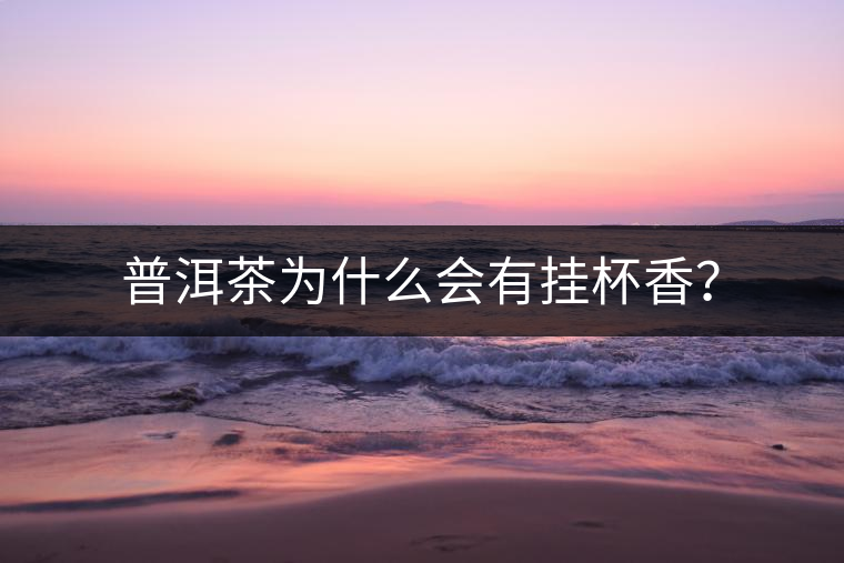 普洱茶為什么會有掛杯香？