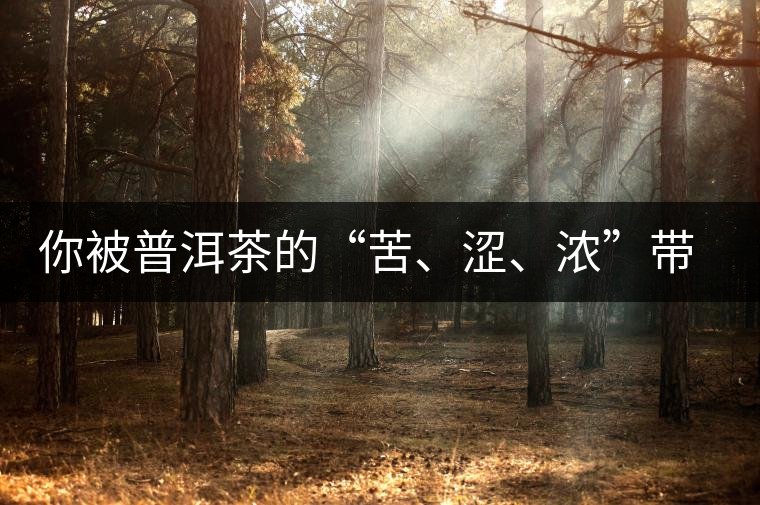 你被普洱茶的“苦、澀、濃”帶入“歧途”了嗎？