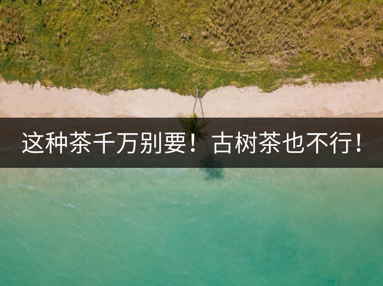 這種茶千萬別要！古樹茶也不行！