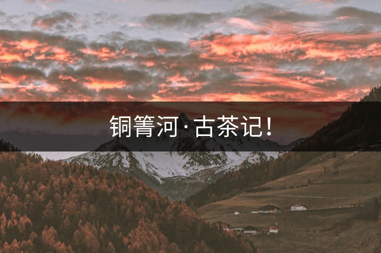 銅箐河·古茶記！