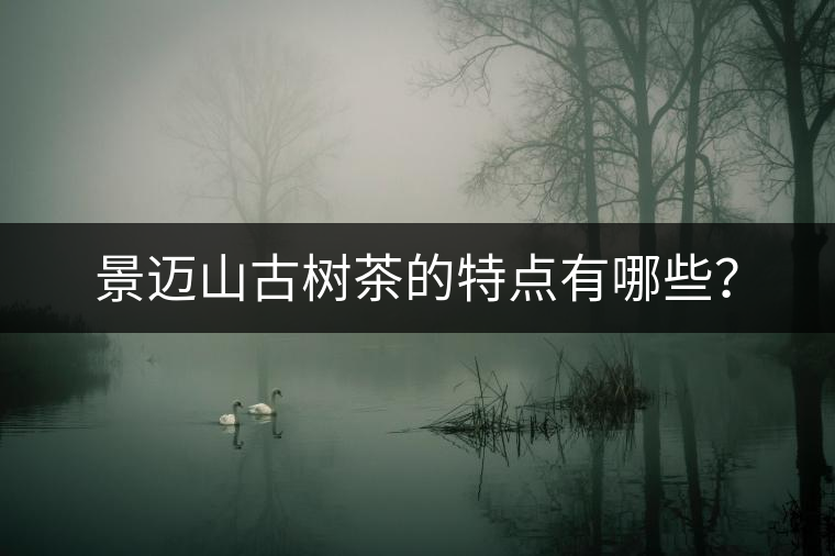 景邁山古樹茶的特點有哪些？