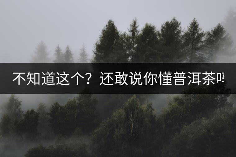 不知道這個？還敢說你懂普洱茶嗎？