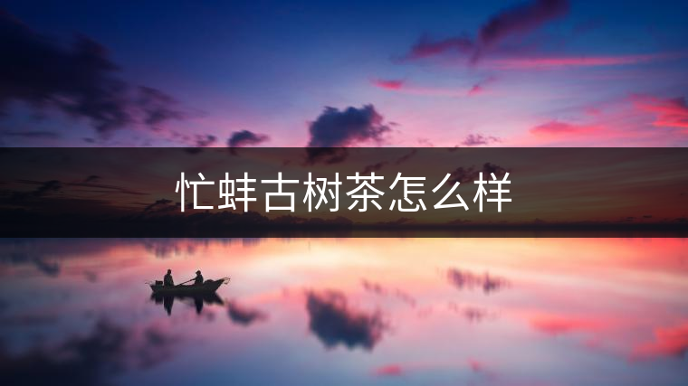 忙蚌古樹(shù)茶怎么樣