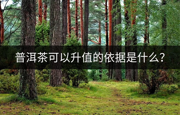 普洱茶可以升值的依據(jù)是什么？