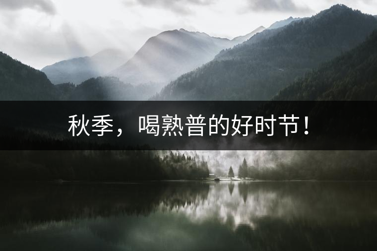 秋季，喝熟普的好時(shí)節(jié)！