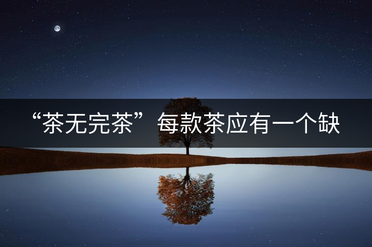 “茶無完茶”每款茶應(yīng)有一個(gè)缺點(diǎn)！