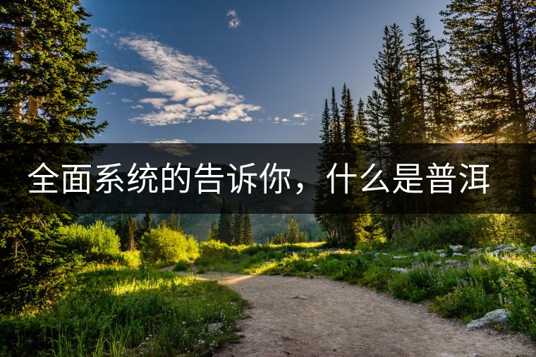 全面系統(tǒng)的告訴你，什么是普洱茶