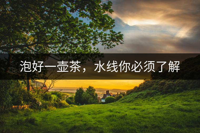泡好一壺茶,水線你必須了解 泡好一壺茶,水線你必須了解