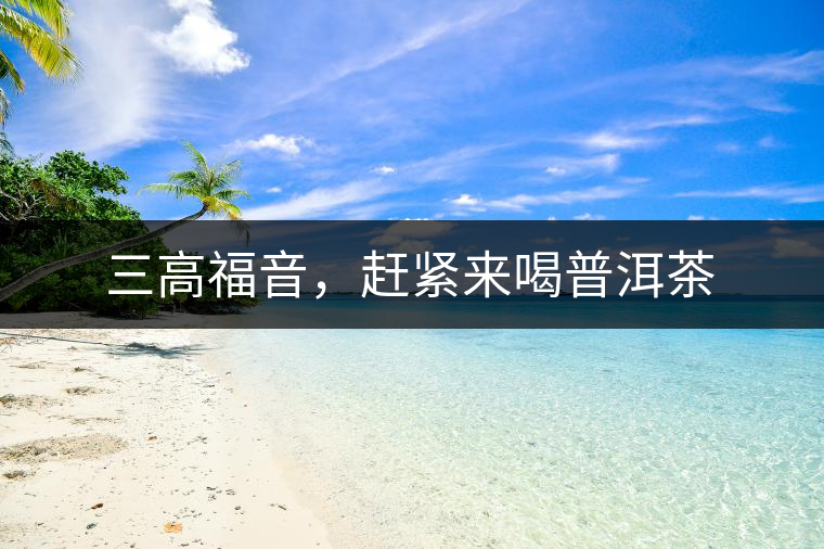 三高福音，趕緊來喝普洱茶