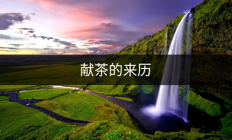 獻(xiàn)茶的來(lái)歷