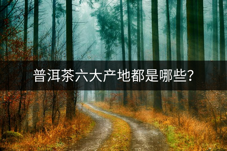 普洱茶六大產(chǎn)地都是哪些？