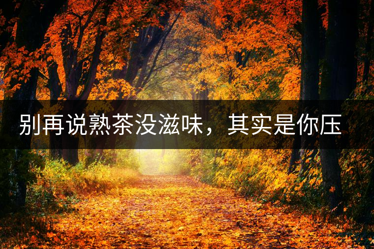 別再說熟茶沒滋味，其實是你壓根沒喝懂