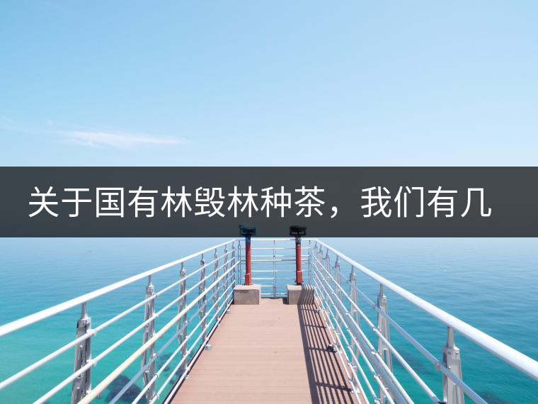 關于國有林毀林種茶，我們有幾點不得不說