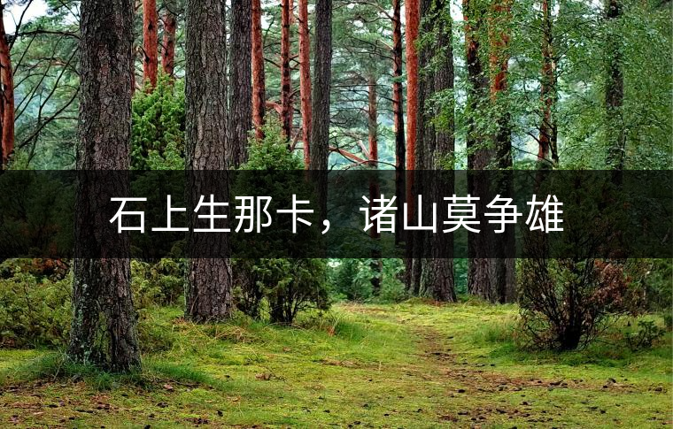 石上生那卡，諸山莫爭雄