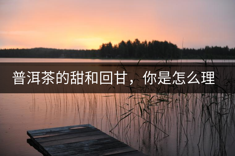 普洱茶的甜和回甘，你是怎么理解的？