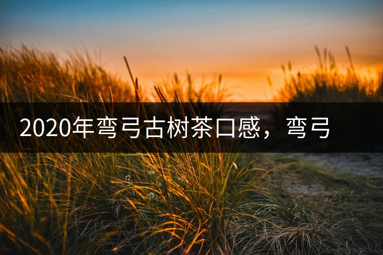 2020年彎弓古樹茶口感，彎弓普洱茶價格特點