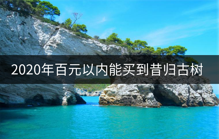 2020年百元以內(nèi)能買到昔歸古樹嗎？