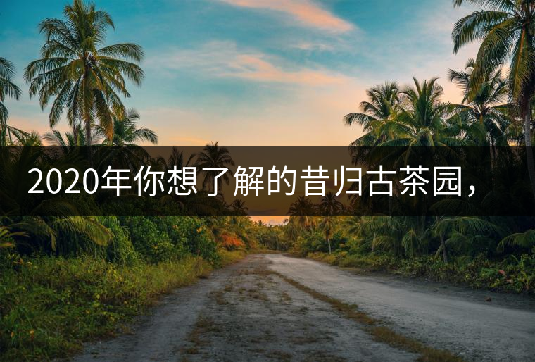 2020年你想了解的昔歸古茶園，都在這？