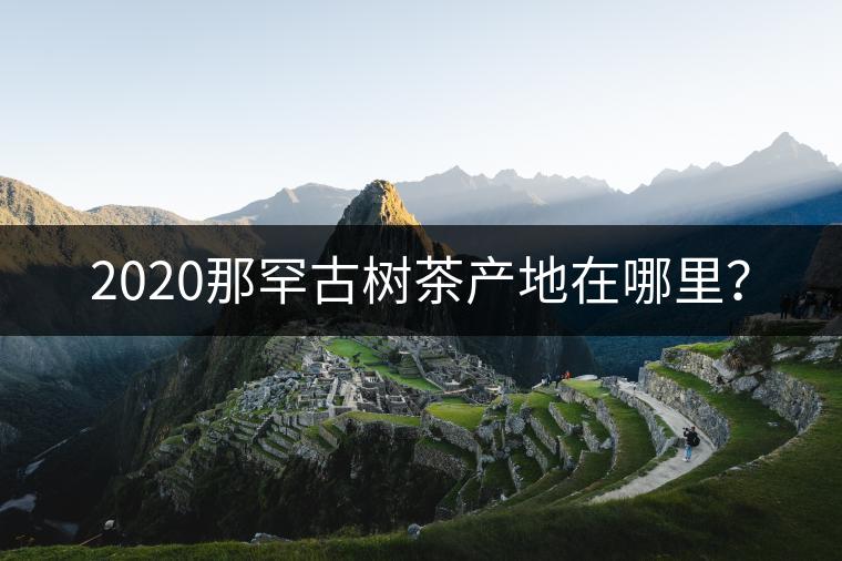 2020那罕古樹茶產(chǎn)地在哪里？