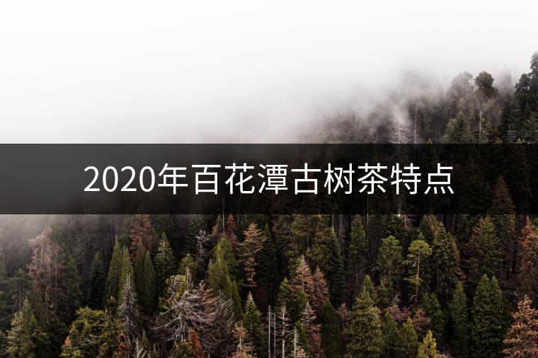 2020年百花潭古樹茶特點 2020年百花潭古樹茶特點