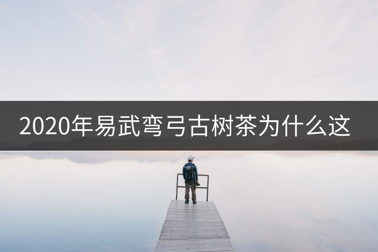 2020年易武彎弓古樹茶為什么這么貴？