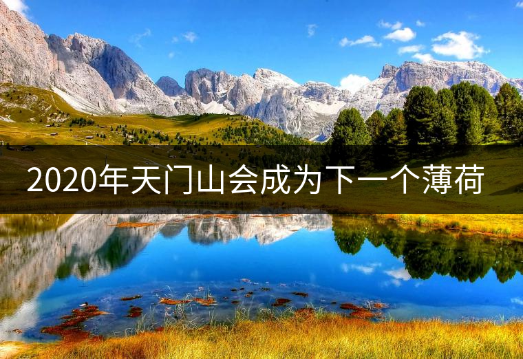 2020年天門山會(huì)成為下一個(gè)薄荷塘嗎？