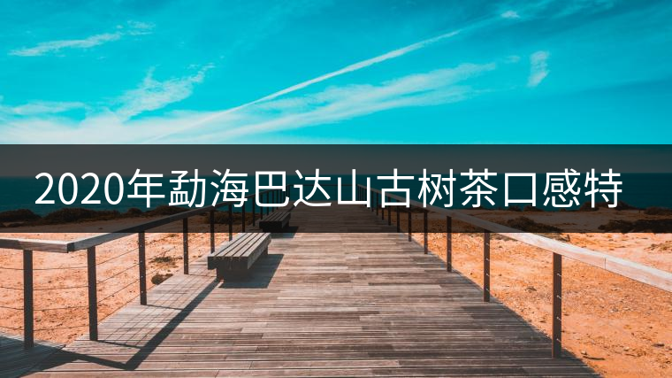2020年勐海巴達(dá)山古樹茶口感特點(diǎn) 2020年勐海巴達(dá)山古樹茶口感特點(diǎn)