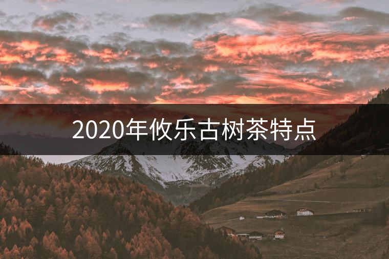 2020年攸樂(lè)古樹(shù)茶特點(diǎn) 2020年攸樂(lè)古樹(shù)茶特點(diǎn)