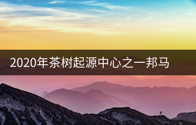 2020年茶樹(shù)起源中心之一邦馬大雪山上有哪些神秘的村寨? 2020年茶樹(shù)起源中心之一邦馬大雪山上有哪些神秘的村寨?