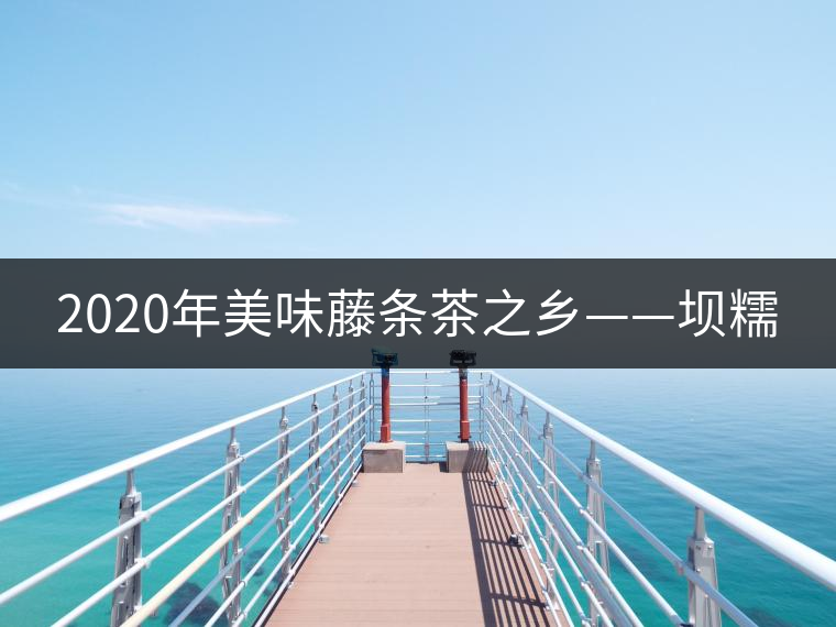 2020年美味藤條茶之鄉(xiāng)——壩糯