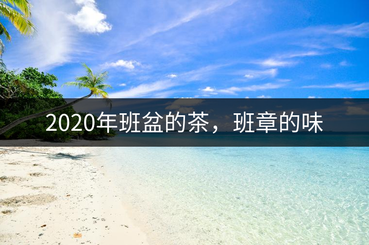 2020年班盆的茶，班章的味
