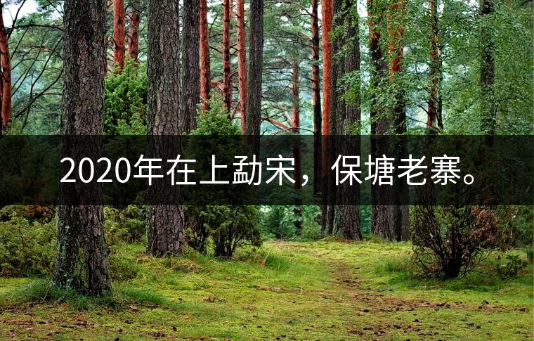 2020年在上勐宋，保塘老寨。