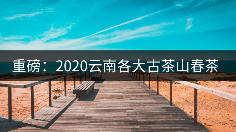 重磅:2020云南各大古茶山春茶價(jià)格發(fā)布 重磅:2020云南各大古茶山春茶價(jià)格發(fā)布