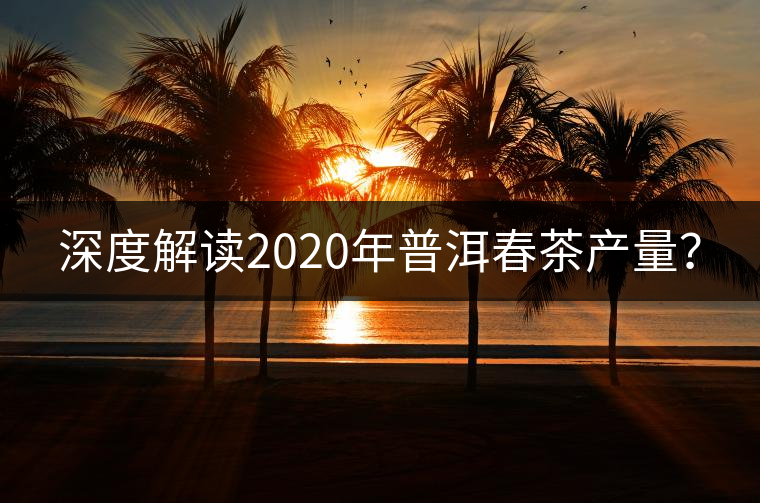 深度解讀2020年普洱春茶產(chǎn)量？