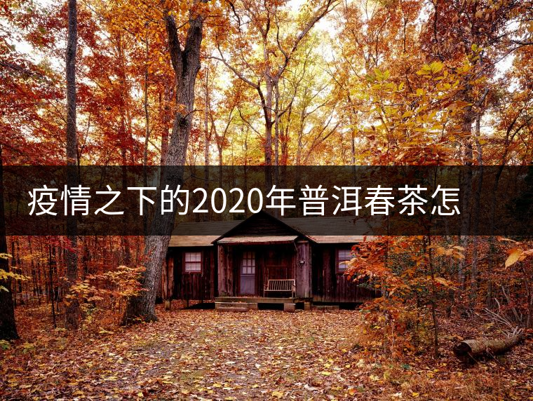 疫情之下的2020年普洱春茶怎么辦？春天會(huì)遲到，但一定會(huì)來