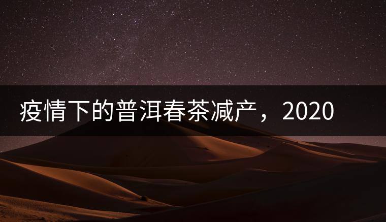 疫情下的普洱春茶減產(chǎn)，2020年價(jià)格“兩極分化”或成常態(tài)？