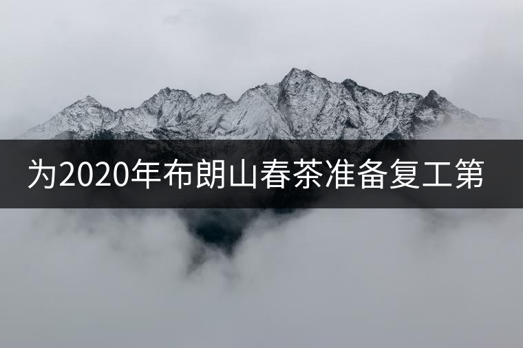 為2020年布朗山春茶準備復(fù)工第13天 為2020年布朗山春茶準備復(fù)工第13天