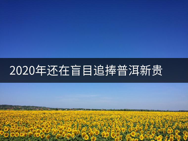 2020年還在盲目追捧普洱新貴“貓耳朵”？我們深入產(chǎn)區(qū)為你揭示最真實的“貓耳朵”！