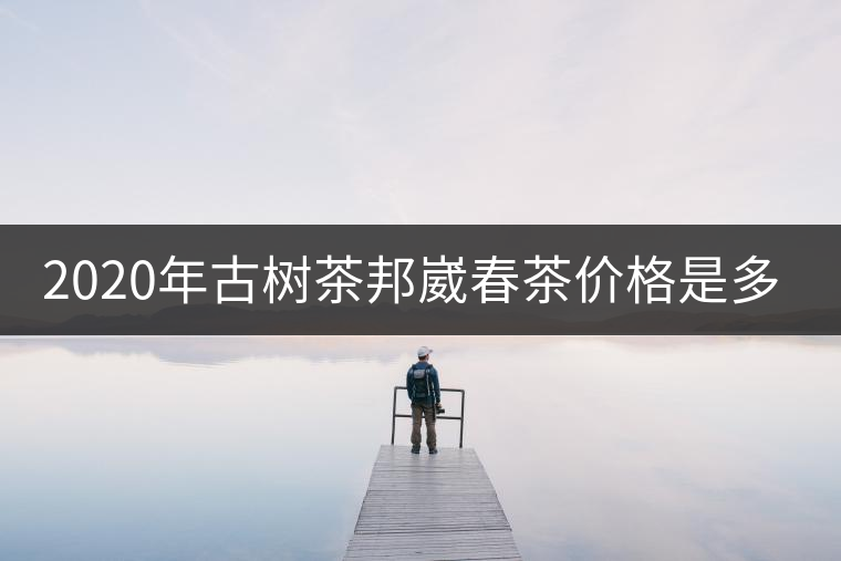 2020年古樹茶邦崴春茶價(jià)格是多少？