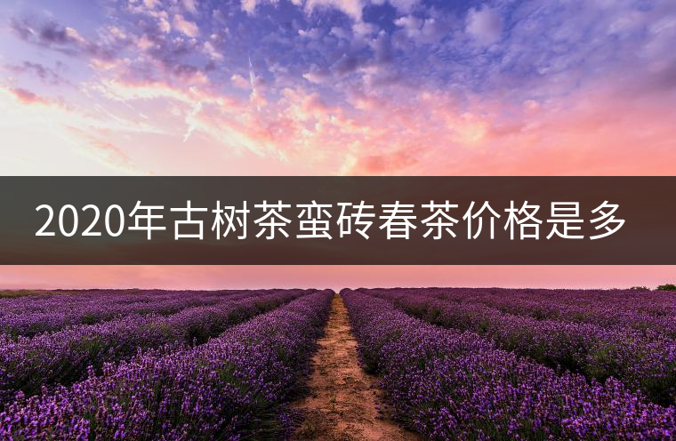 2020年古樹茶蠻磚春茶價格是多少？